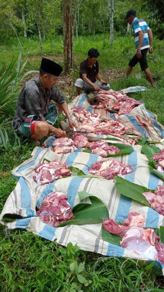 _ Suasana Pemilahan daging hewan kurban di Desa Padang Kec. Gantarang yang telah di uji posmortem oleh petugas yang berwenang. (Foto: Rahmi)*