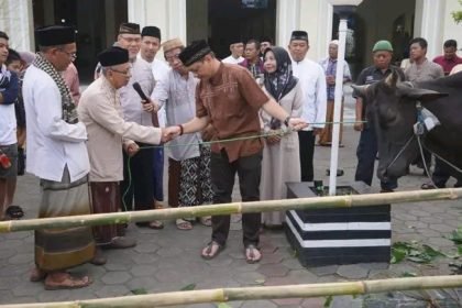 IMG 20230629 WA0073 1