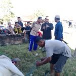 IMG 20230629 083400