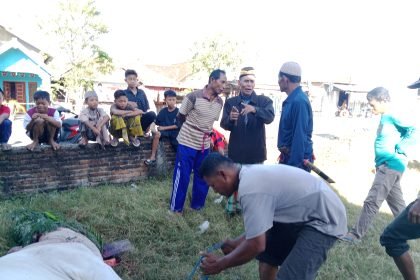 IMG 20230629 083400