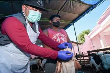 Picsart 23 06 22 22 36 09 729