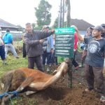 IMG 20230701 WA0010 2