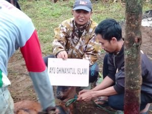 Lagi-Lagi Yayasan Muallaf Al-Yumna Bedugul Bali Ber Qurban 3 ekor Sapi Dan 2 Ekor Kambing 3 IMG 20230701 WA0013