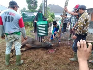 Lagi-Lagi Yayasan Muallaf Al-Yumna Bedugul Bali Ber Qurban 3 ekor Sapi Dan 2 Ekor Kambing 1 IMG 20230701 WA0027