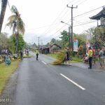 IMG 20230702 WA0042