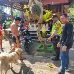 IMG 20230704 WA0060