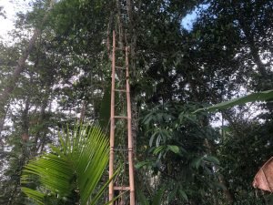 IMG 20230716 WA0042