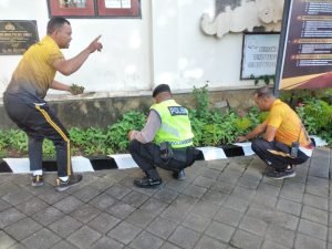 IMG 20230729 WA0078