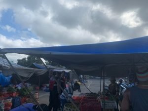 IMG 20230730 WA0019