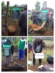 Yayasan Mualaf Al-Yumna Bedugul Bali Berqurban 3Ekor Sapi dan 2 Ekor Kambing Di Hari Raya Idul Adha 1444 H 1 IMG 20230702 002739 1