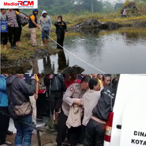 png 20230714 132648 0000