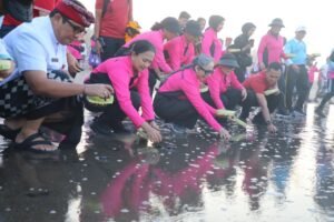Lestarikan Satwa Penyu, Bhayangkari Lepas 600 Ekor Tukik di Pantai Pangkung Tibah Tabanan 1 IMG 20230907 WA0088