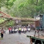 IMG 20230913 WA01011