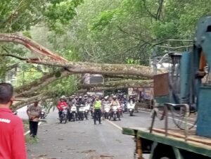 IMG 20230913 WA01011