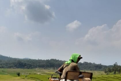 IMG 20240521 WA0141