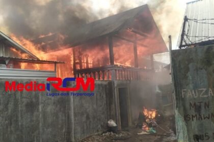 GridArt 20240608 191356822