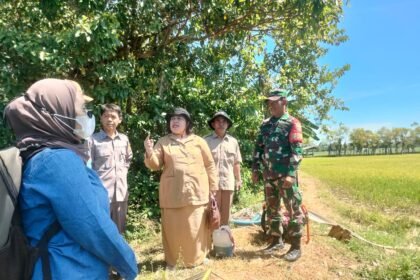 IMG 20240716 WA0041 1