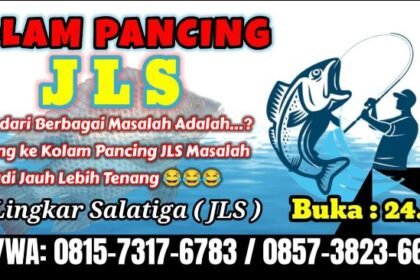 IMG 20240814 WA0293