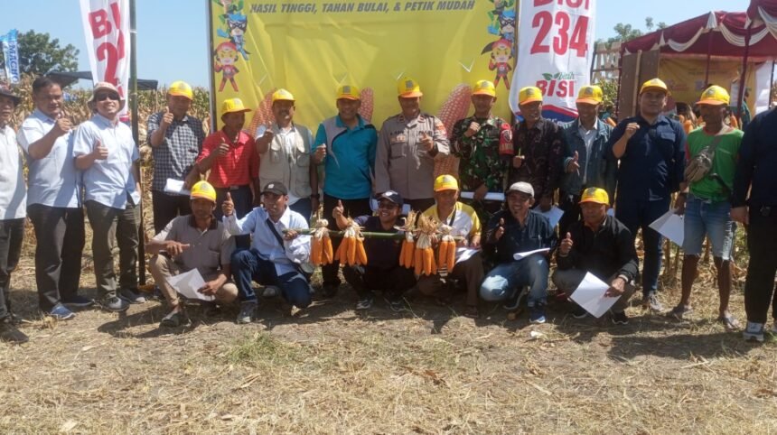 IMG 20240831 WA0012