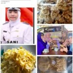 IMG 20240927 WA0000