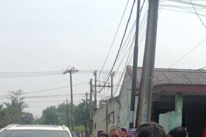 IMG 20241106 WA0137