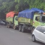 IMG 20241114 WA0028