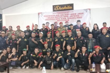 IMG 20241222 WA0129