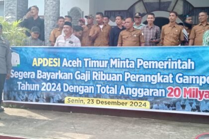 IMG 20241223 WA0185