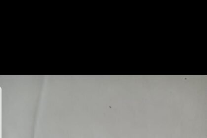 IMG 20250215 WA0063