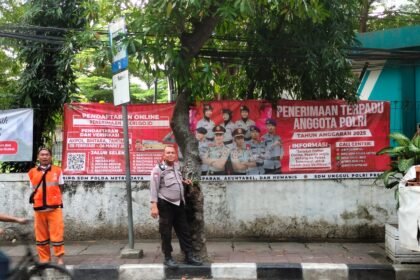 IMG 20250221 WA0019