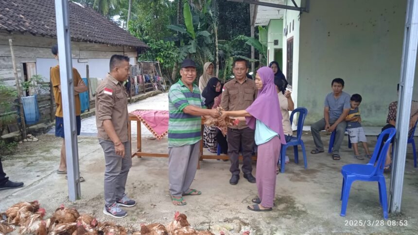 IMG 20250328 WA00031