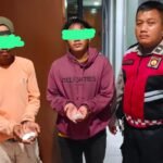 IMG 20250515 WA0035 1