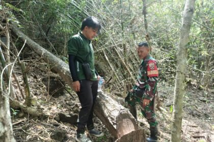 IMG 20250522 WA0024