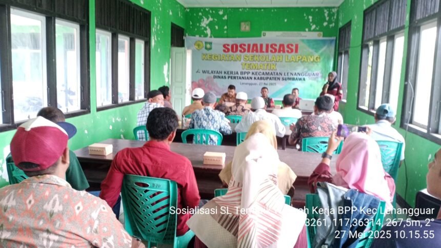 IMG 20250527 WA0029