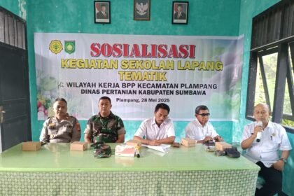 IMG 20250528 WA0074