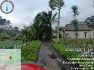 TimePhoto 20250520 161807