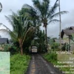 TimePhoto 20250520 161812