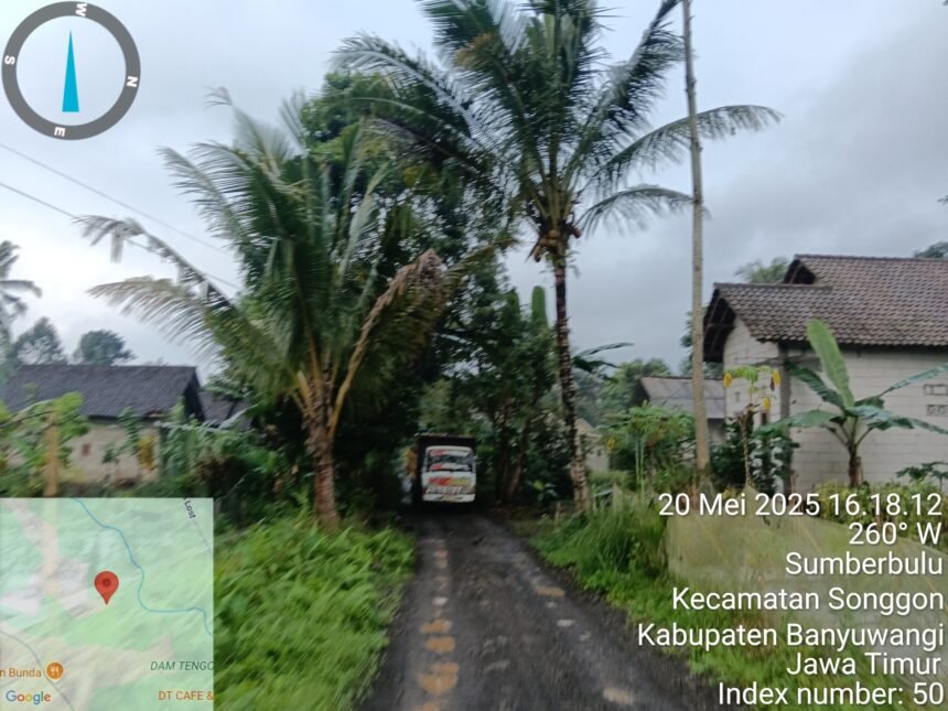 TimePhoto 20250520 161812