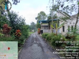 TimePhoto 20250520 161831
