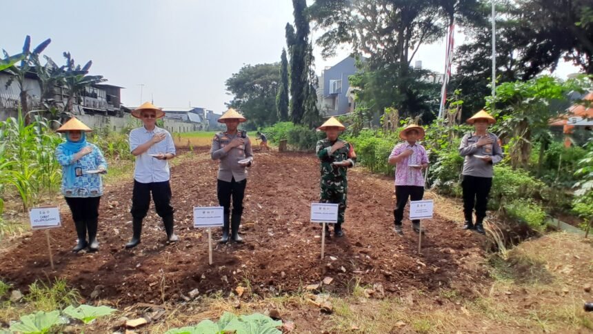 Polsek Kelapa Gading Gelar Panen Raya Jagung Serentak Dukung Swasembada Pangan Nasional 1 IMG 20250605 WA0058 1