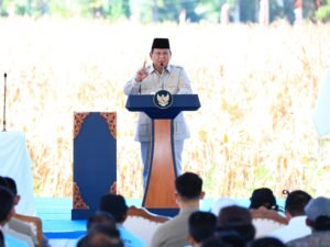 IMG 20250605 WA0165