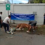 IMG 20250608 WA0237