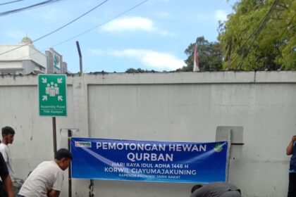 IMG 20250608 WA0237