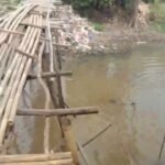 IMG 20250612 WA0013
