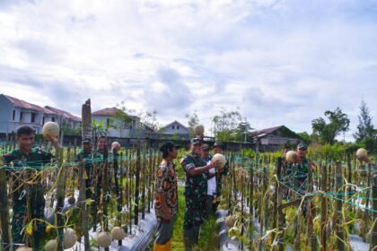 IMG 20250613 WA0027 1