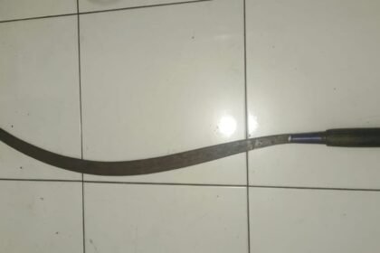 IMG 20250616 WA0032 1