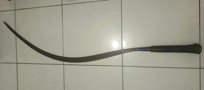 IMG 20250616 WA0032 1