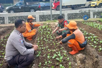IMG 20250617 WA0037