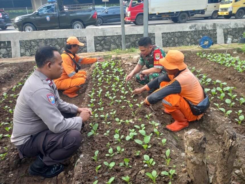 IMG 20250617 WA0037