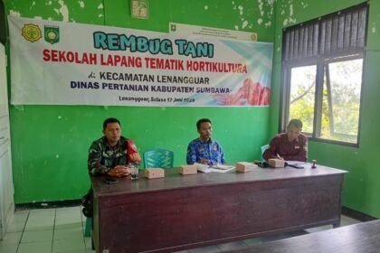 IMG 20250617 WA0101